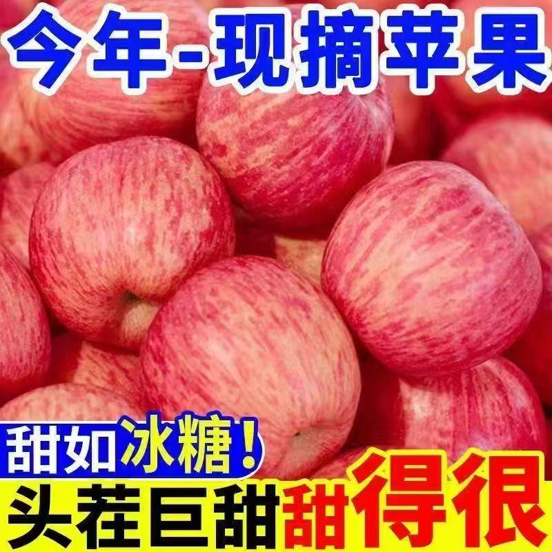 陕西红富士苹果新鲜应季脆甜多汁产地直发A