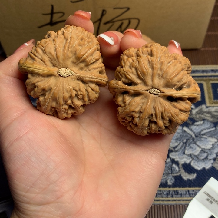 吊坠文玩核桃?***学粗筋
