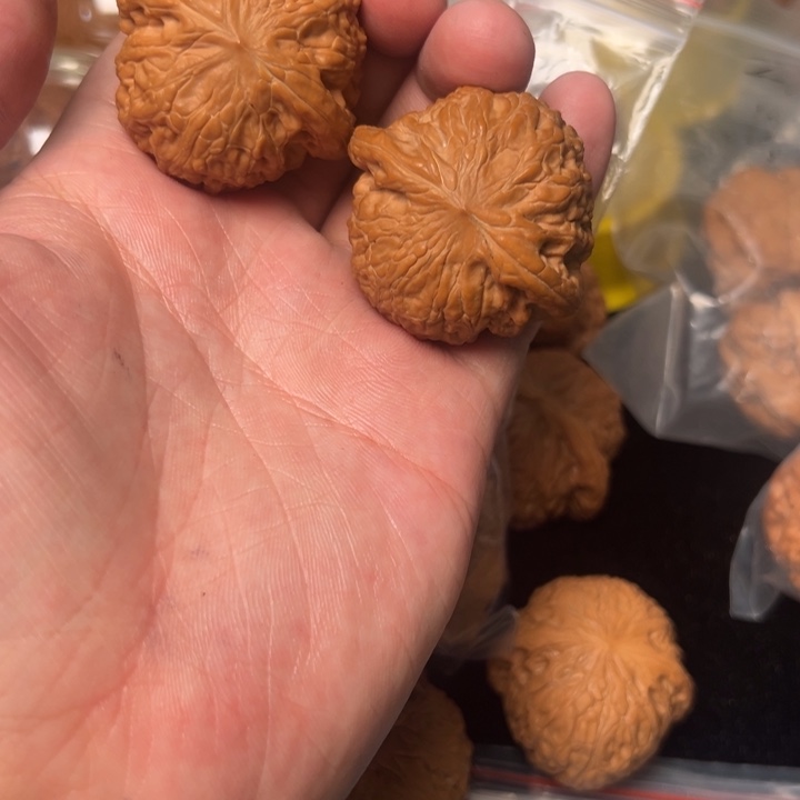 核桃铁锤，41.5已打底