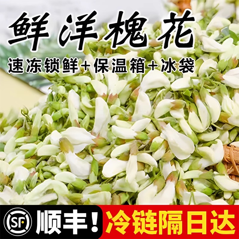 新鲜槐花25年现摘现发野菜洋槐花花骨朵农家时令蔬菜当季采摘