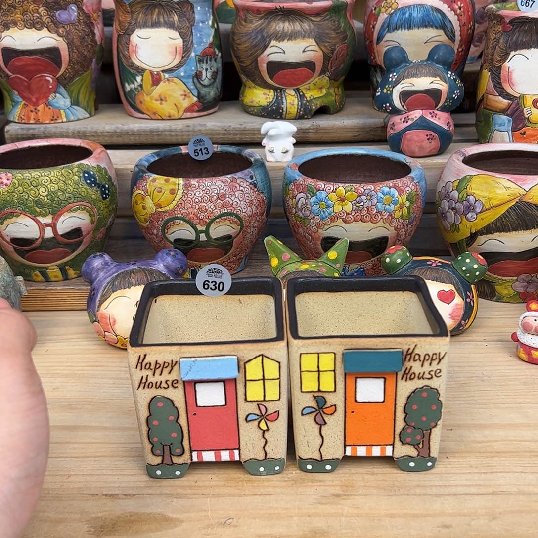 红陶630福利欢乐屋