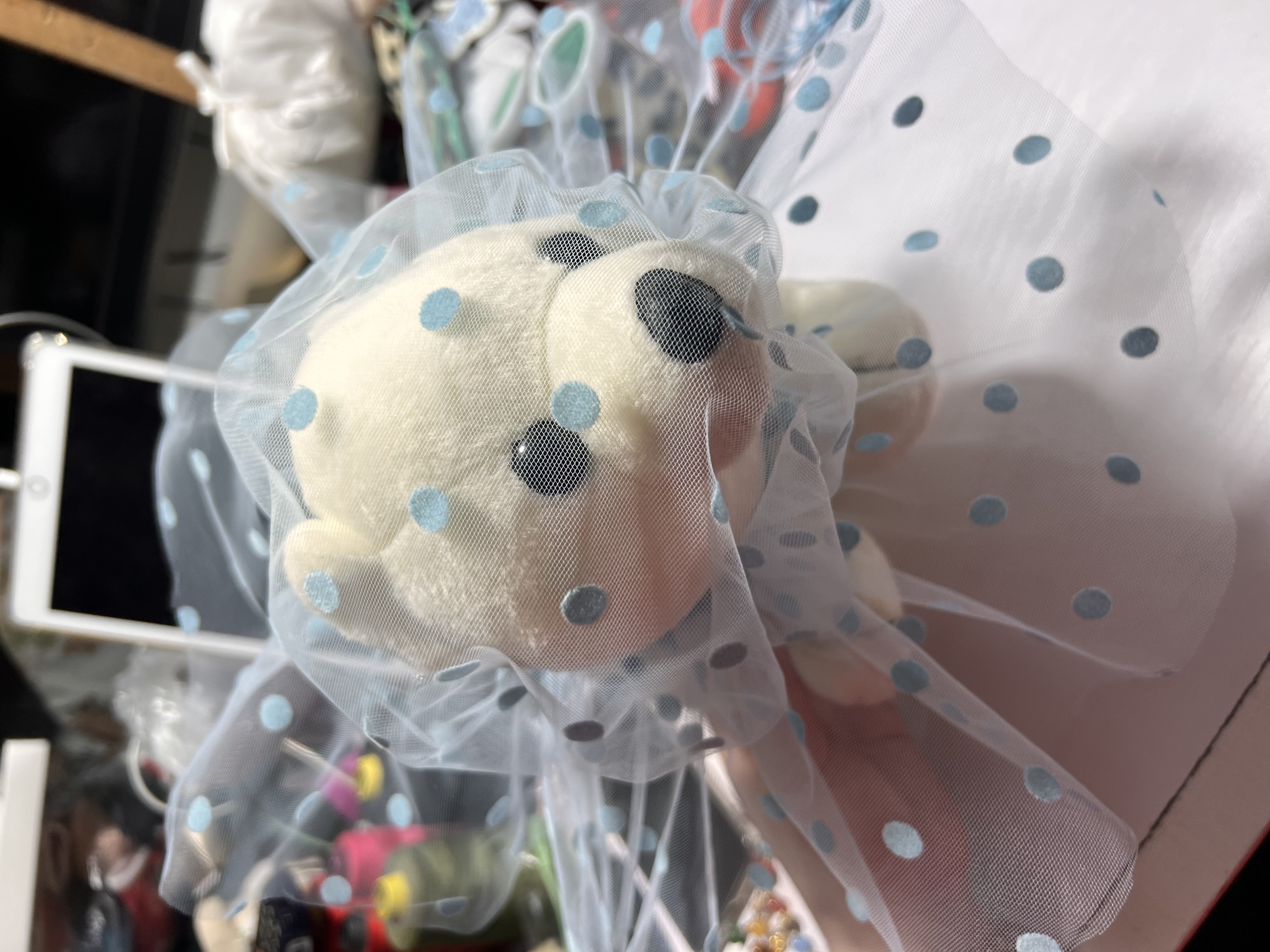 防止狗狗乱吃东西乱舔定制网纱头套神器