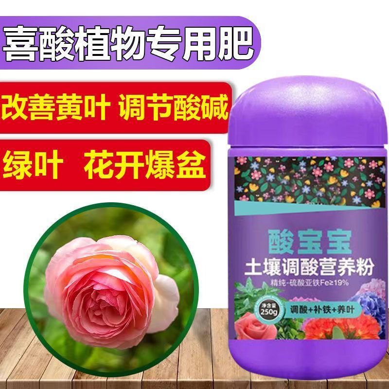 酸宝宝硫酸亚铁养花肥料喜酸植物防黄叶土壤调酸通用花园水溶肥