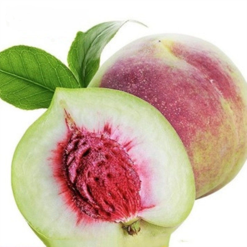 山东青州蜜桃现摘现发脆甜离核新鲜应季水果