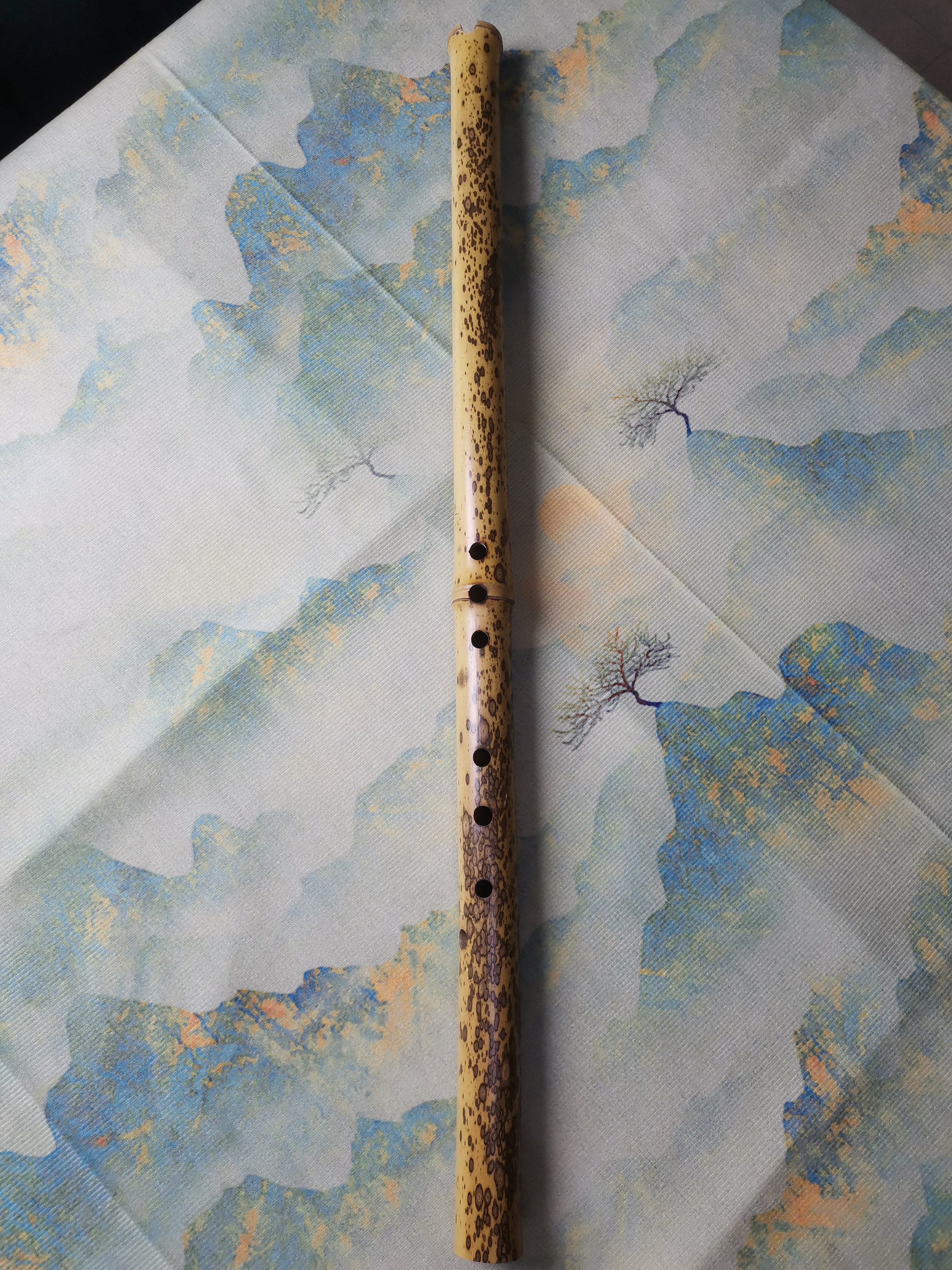 梅鹿竹G调正手短箫，音准音色好，音域广，花纹清晰漂亮。方便携带。