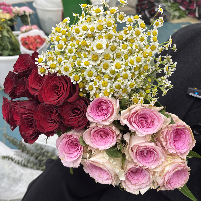 【玫瑰组合】单头玫瑰多头泡泡鲜花花束云南昆明基地直发家用水养花