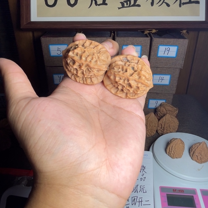 把件文玩核桃37高桩板正龙鳞