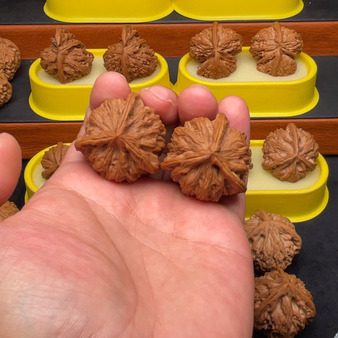 核桃手串/手链野生正奔39