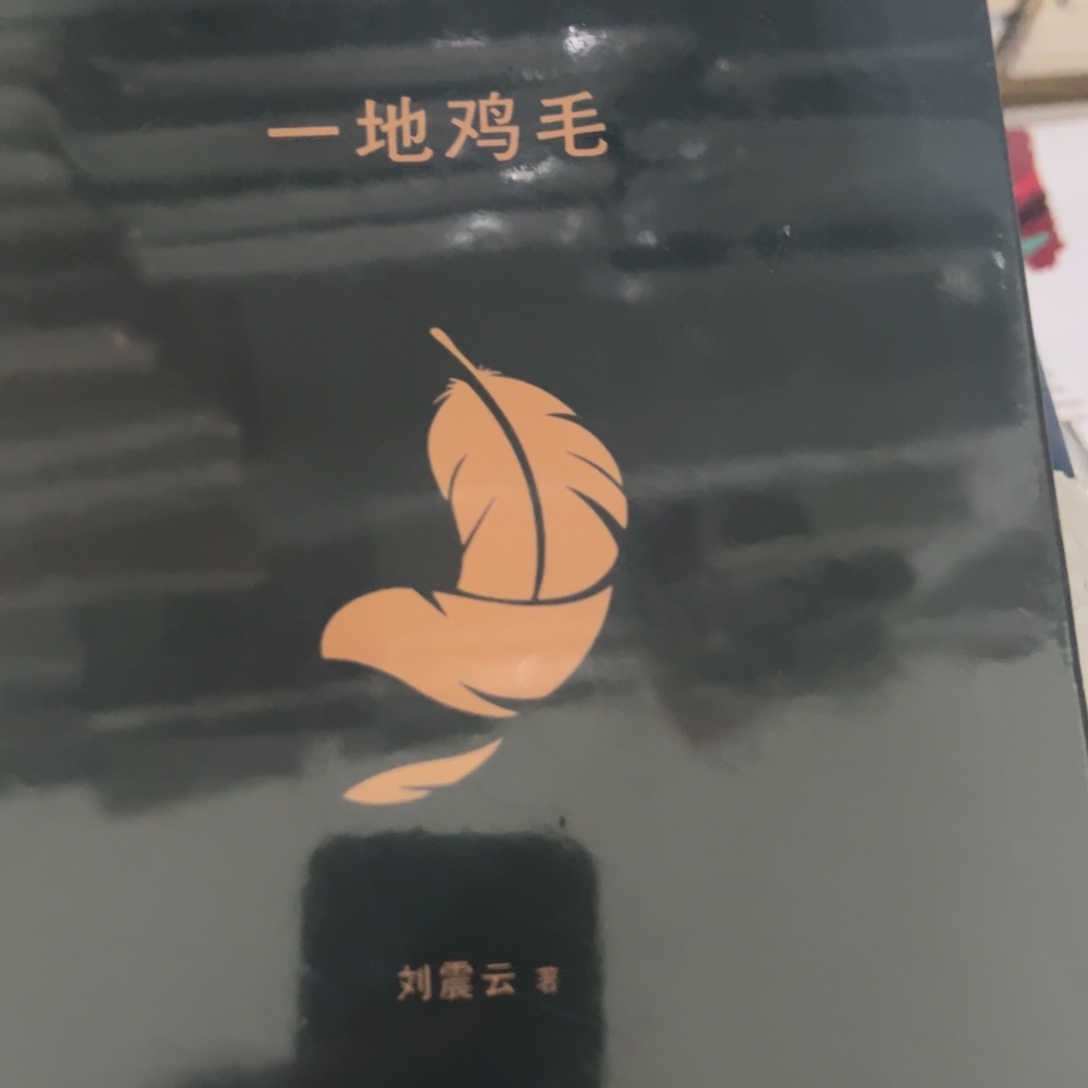 一地鸡毛精装一个