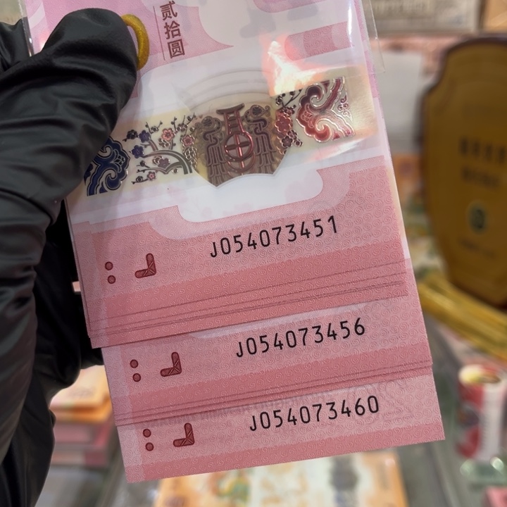 塑料蛇钞四顺标十054073