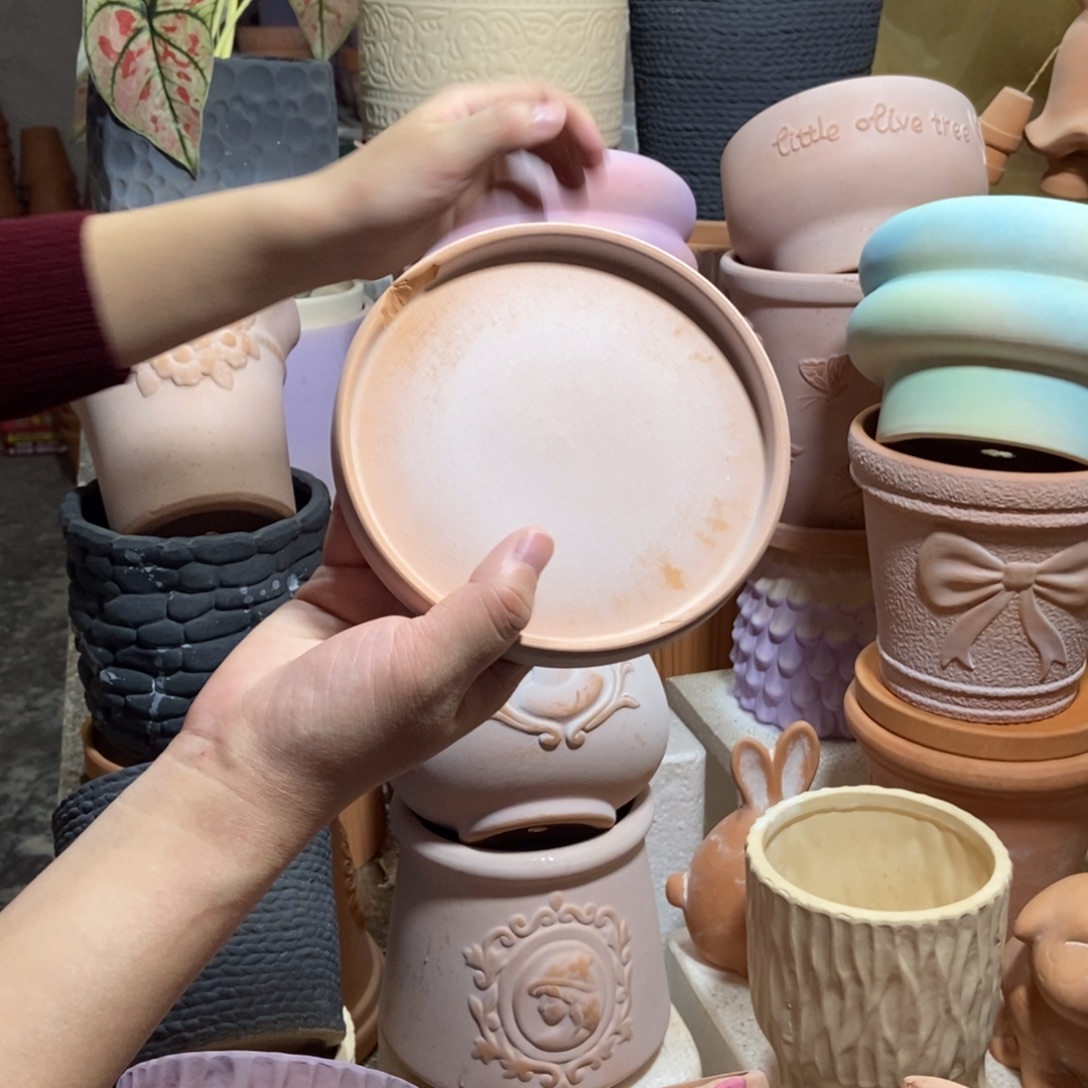 真***主14盘 雾化托盘1个