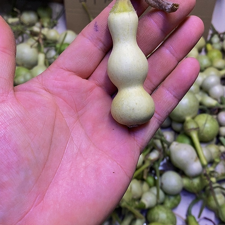 山****程长嘴哈哈哈哈哈哈哈哈哈好