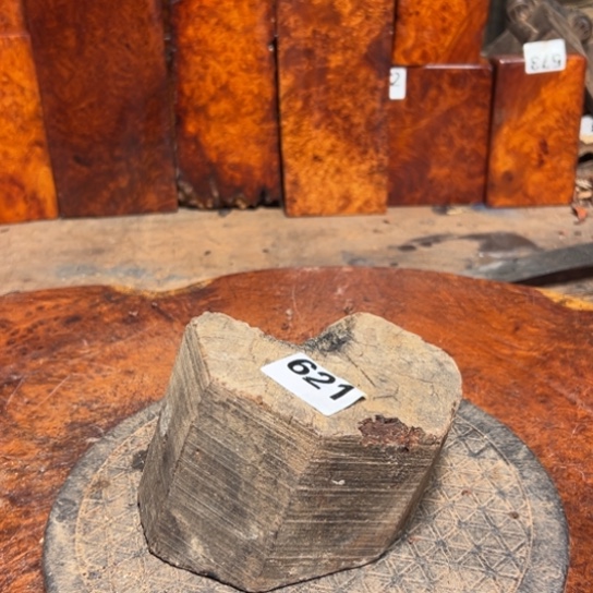 L***丽大果紫檀（缅甸花梨）