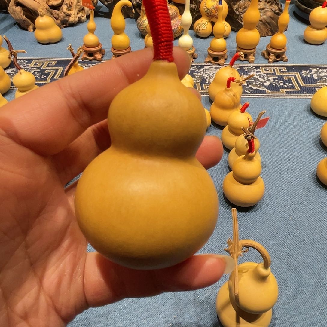 木小**i葫芦等经济林木生长在我国