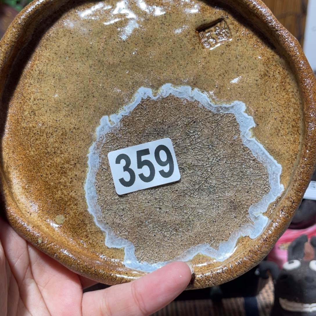 木村信弘柴烧保平