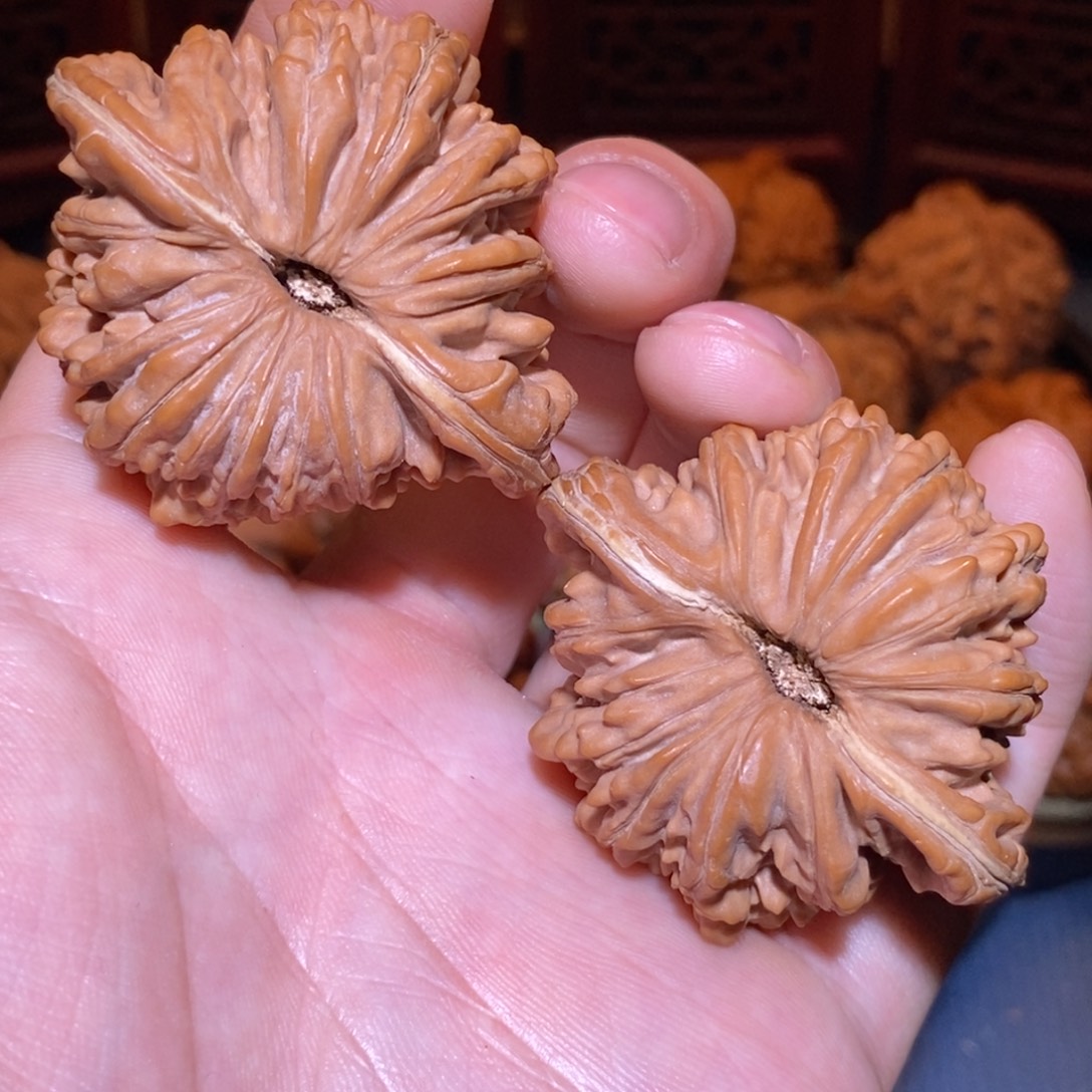 48尺 全品白茬 极品尺寸 四座楼