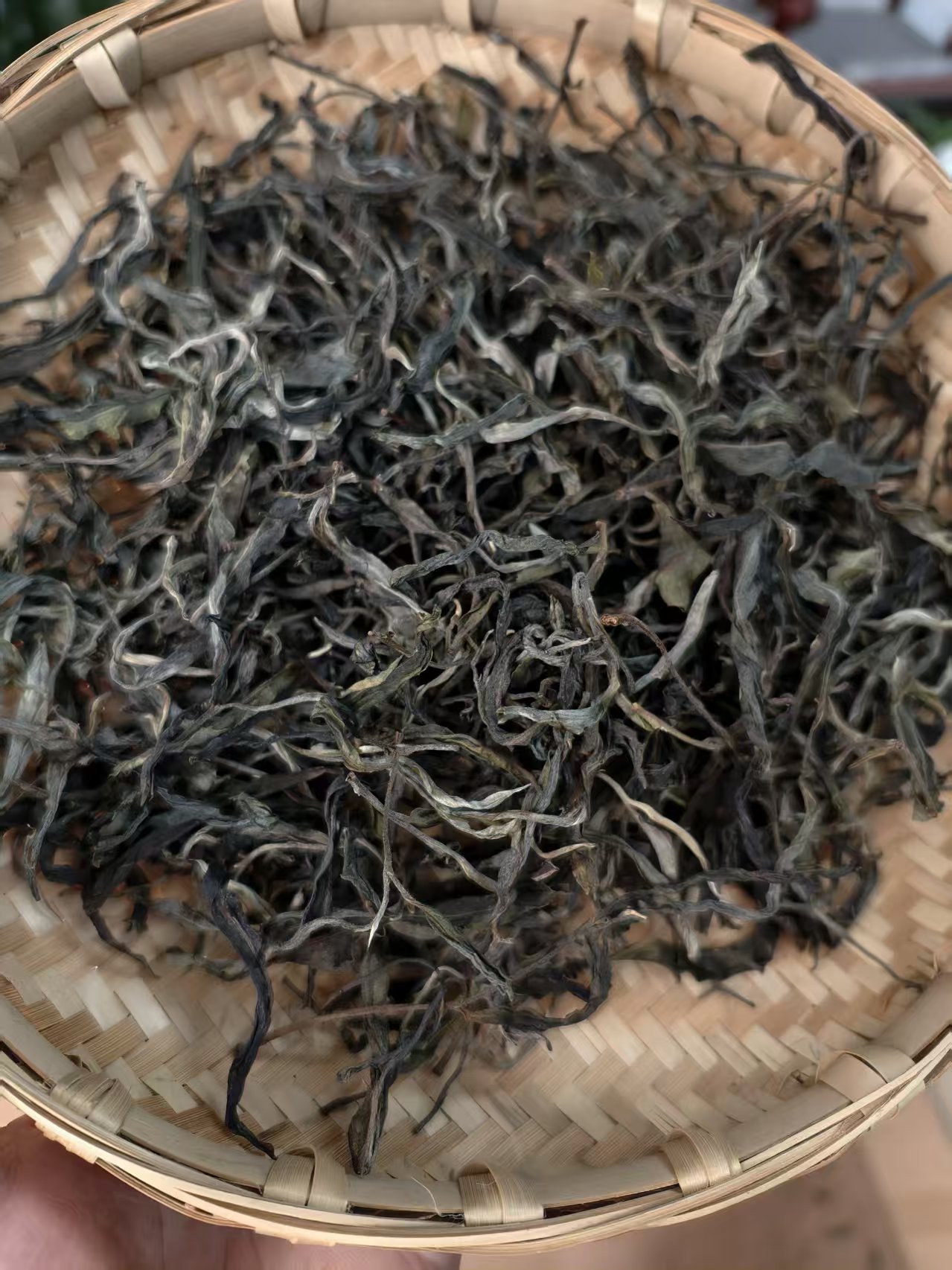 2025年白茶园古树尾春古树茶100克