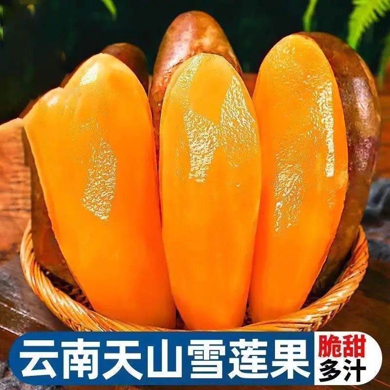 云南天山雪莲果现挖现发脆甜多汁应季新鲜时令水果1-5斤