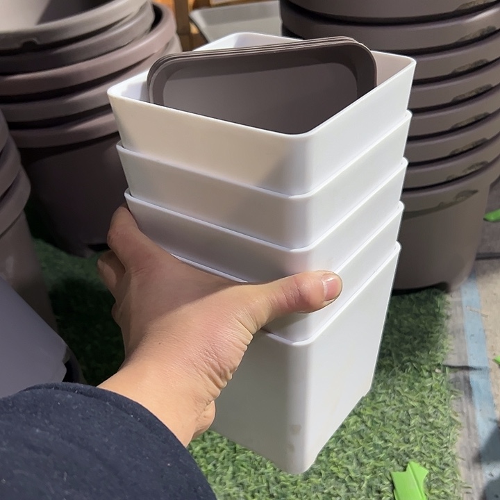 白盆带咖托盘14外径14高5套