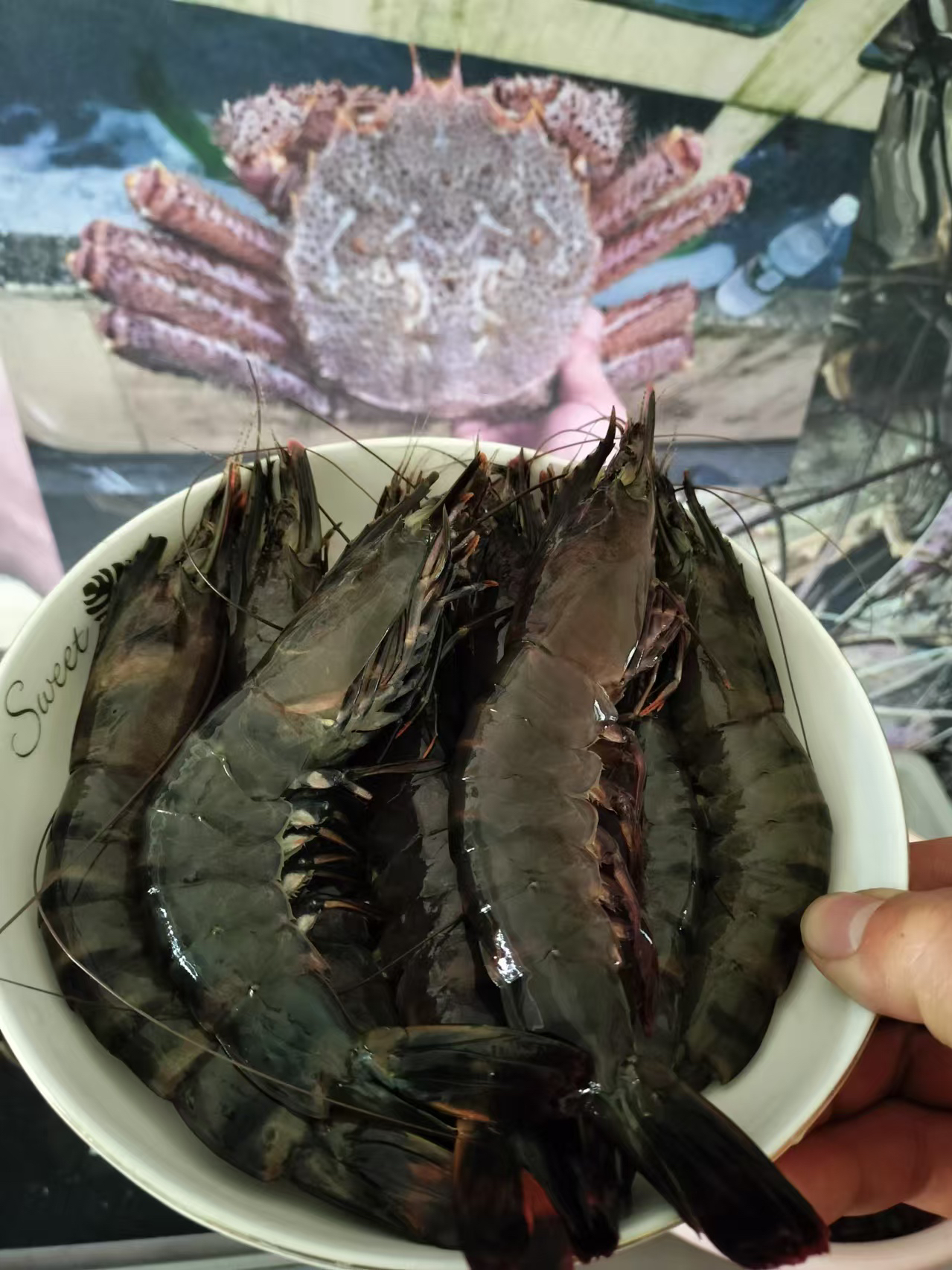 新鲜黑虎虾活冻海虾超大规格顺丰包邮