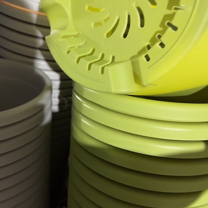 四季5号果绿无托6个特价微瑕