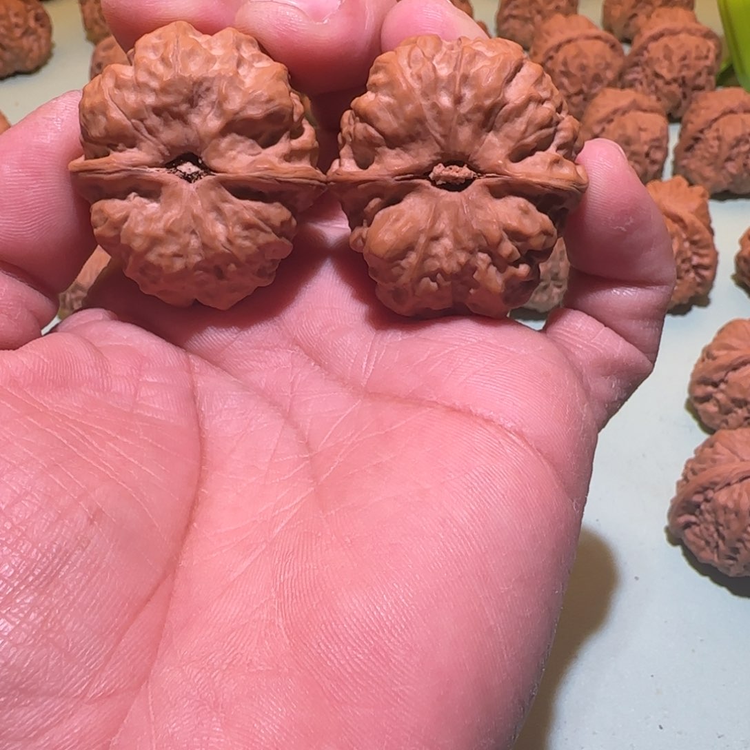 文玩核桃吊坠用****4蛤蟆头核桃 38