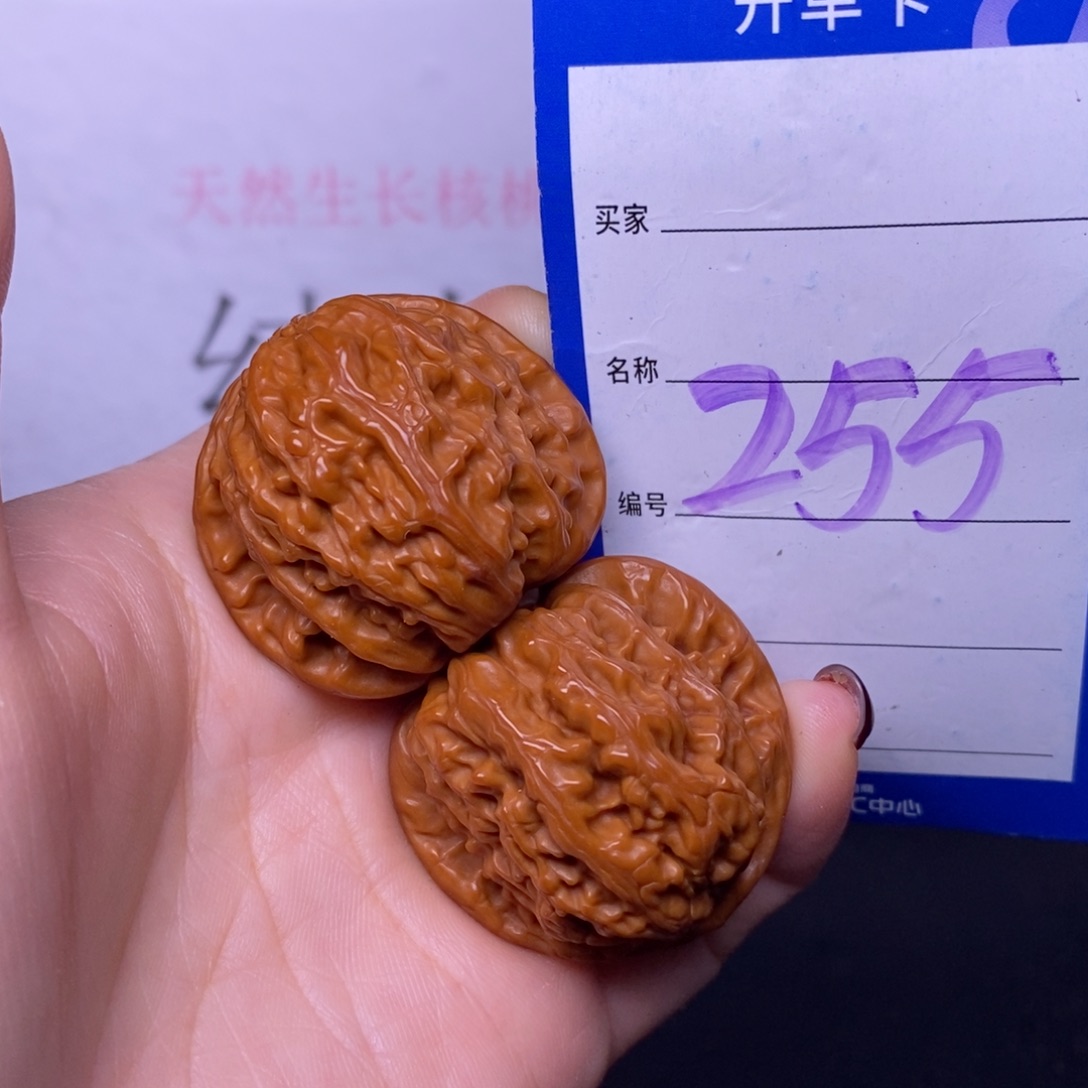 把件文玩核桃255/36白狮子