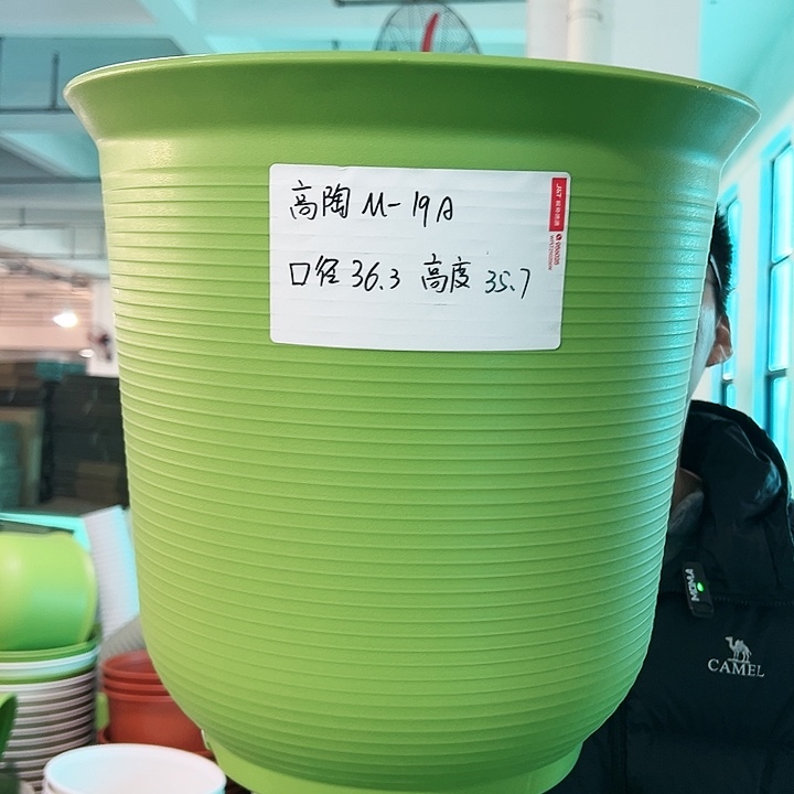 正品高陶口36高36果绿无托2只