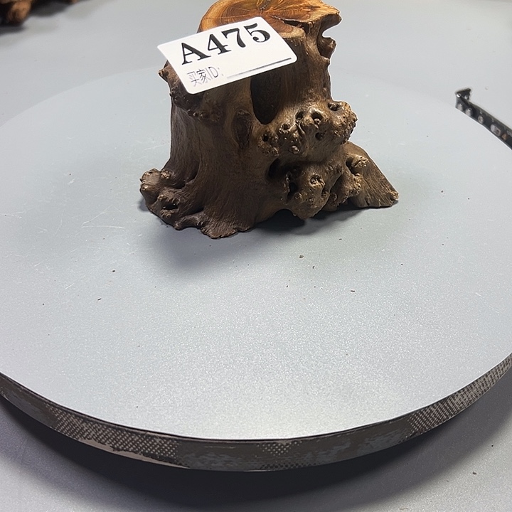 ****售大果紫檀（缅甸花梨）