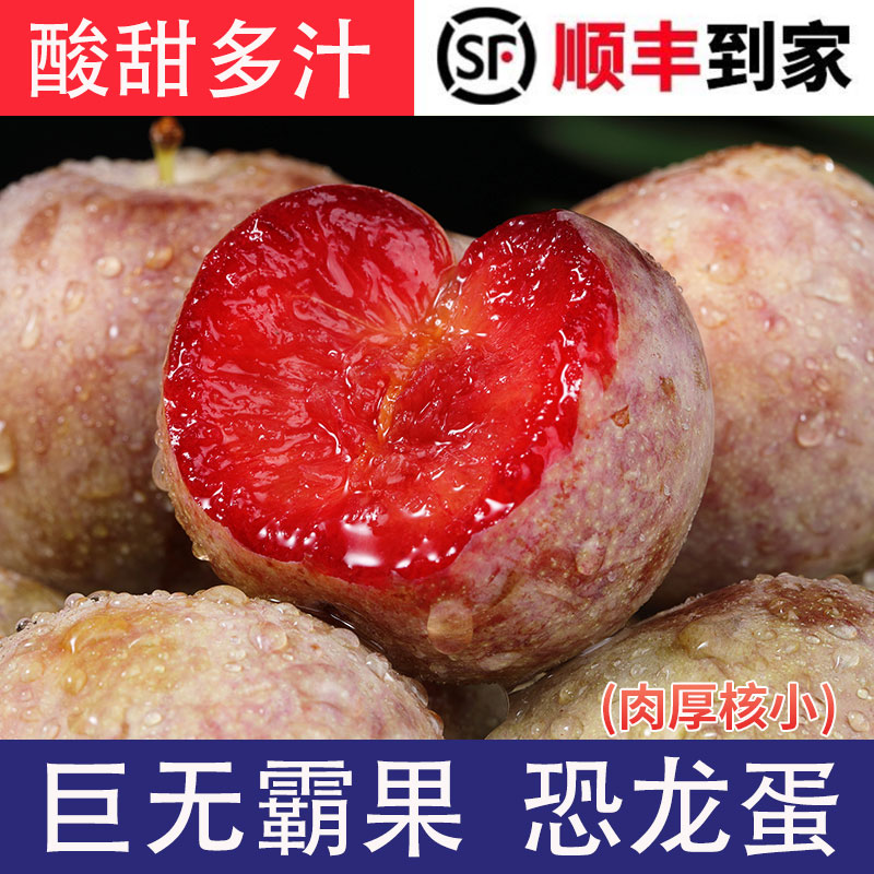 【顺丰包邮】新疆恐龙蛋当季新鲜水果杏李子酸甜多汁礼盒装2-5斤