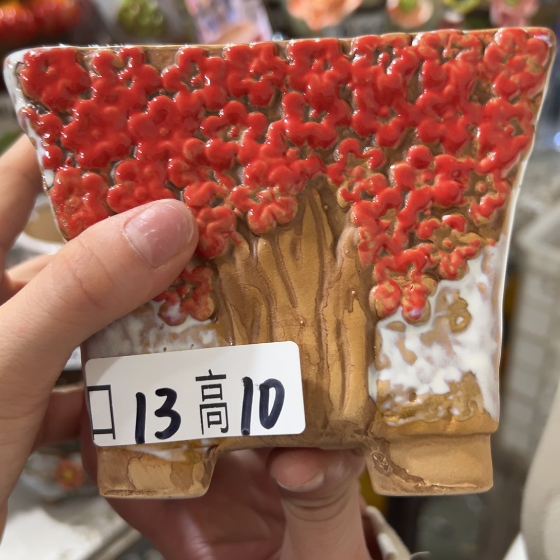 多肉花盆满18.8发秒拍秒退拉黑