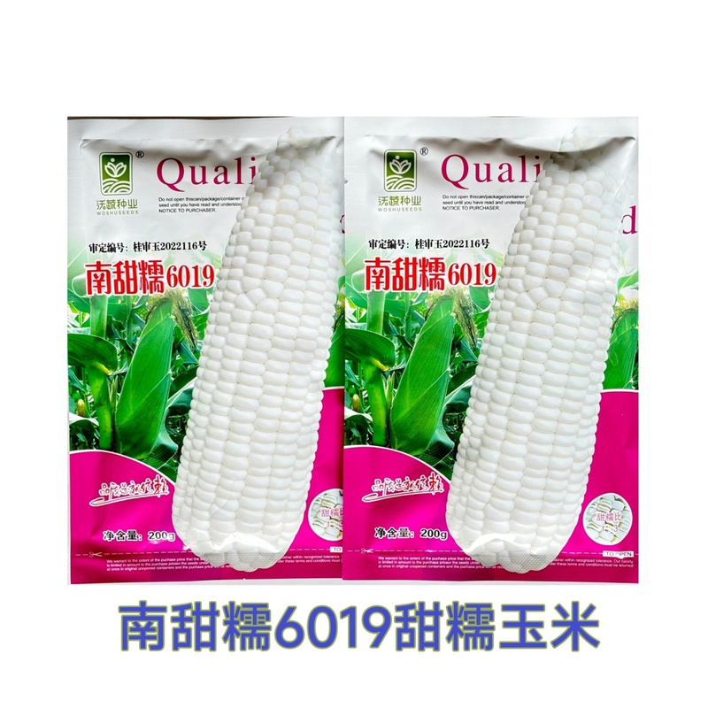 南甜糯6019甜糯玉米大棒口感好耐热性好甜糯玉米种子春秋种植
