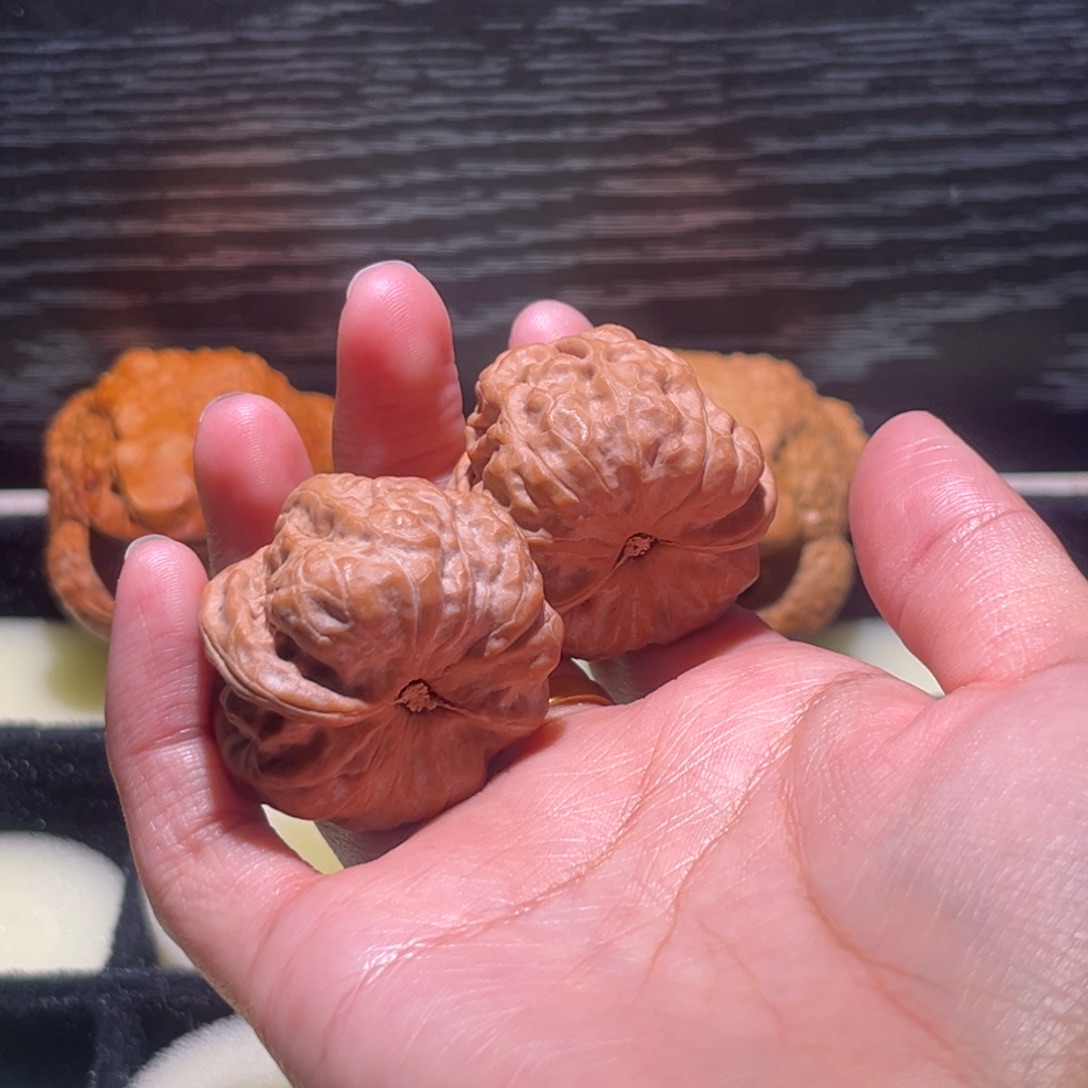 秋***袋大叶紫檀（黑酸枝木类）蛤蟆