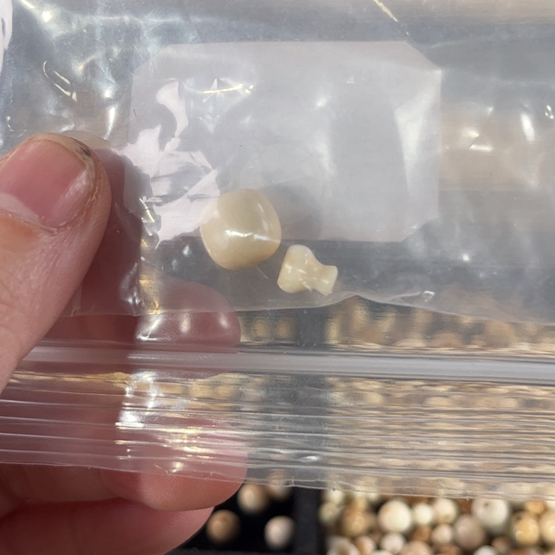 泥塑见*工艺品工艺品