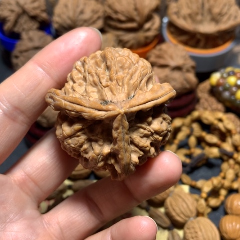 核桃诚*三棱单只一个