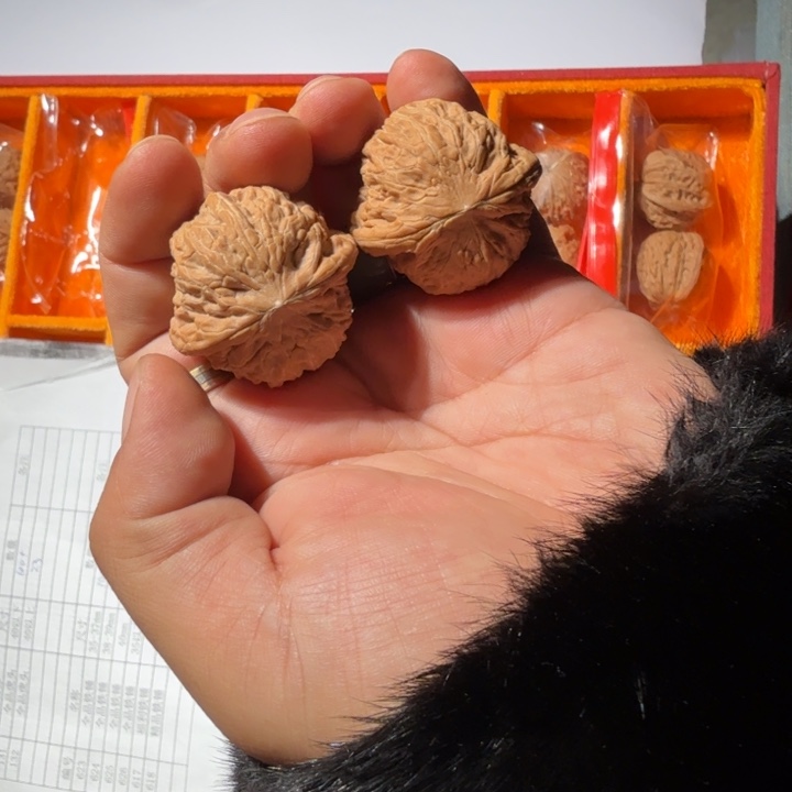 把件文玩核桃623号全品铁锤妹妹35-37mm