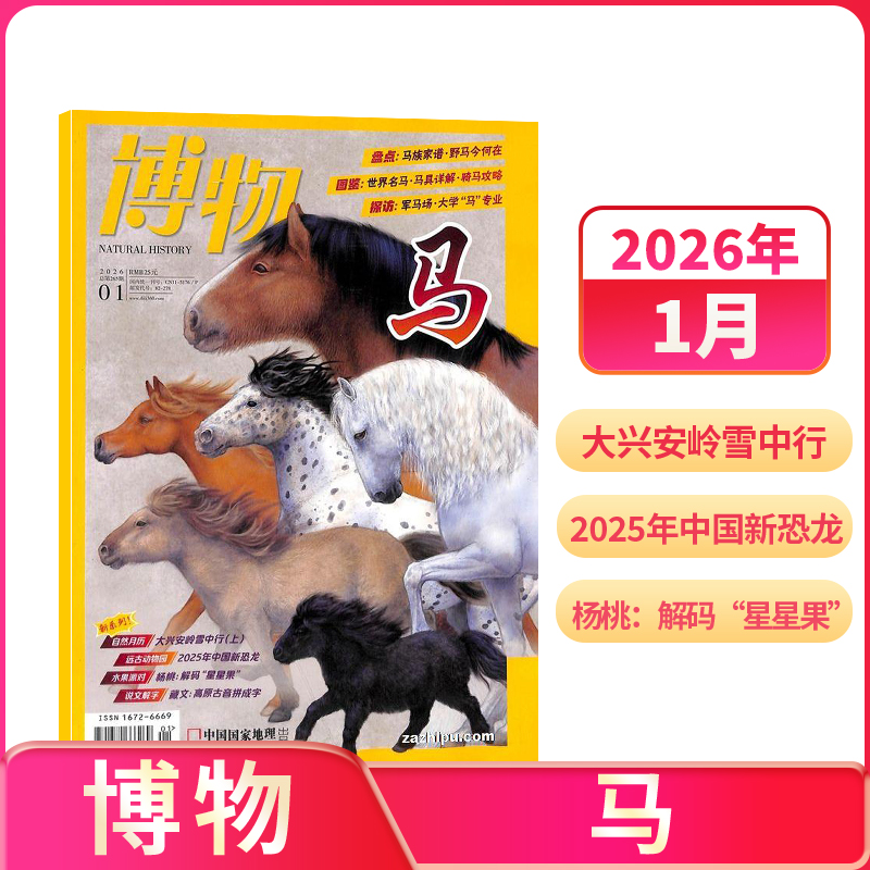 【单期订阅】 博物杂志 2024/2025年单期 小学生生物自然科普