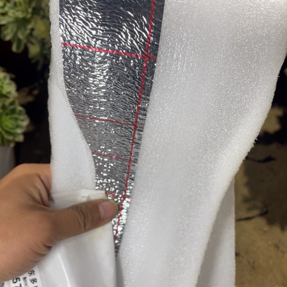 保温零下地区必拍多肉法师断枝不包