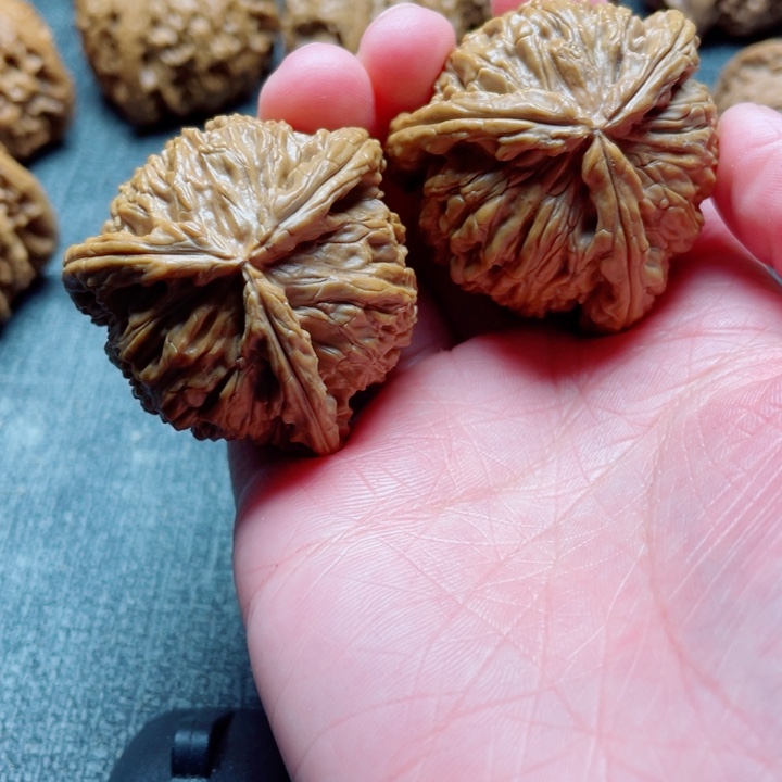 何****王手工三棱白狮子三棱