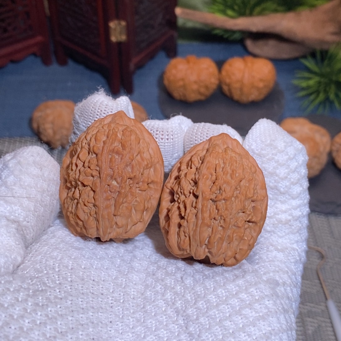 36尺 全品无修白茬 25头茬 大蒜头