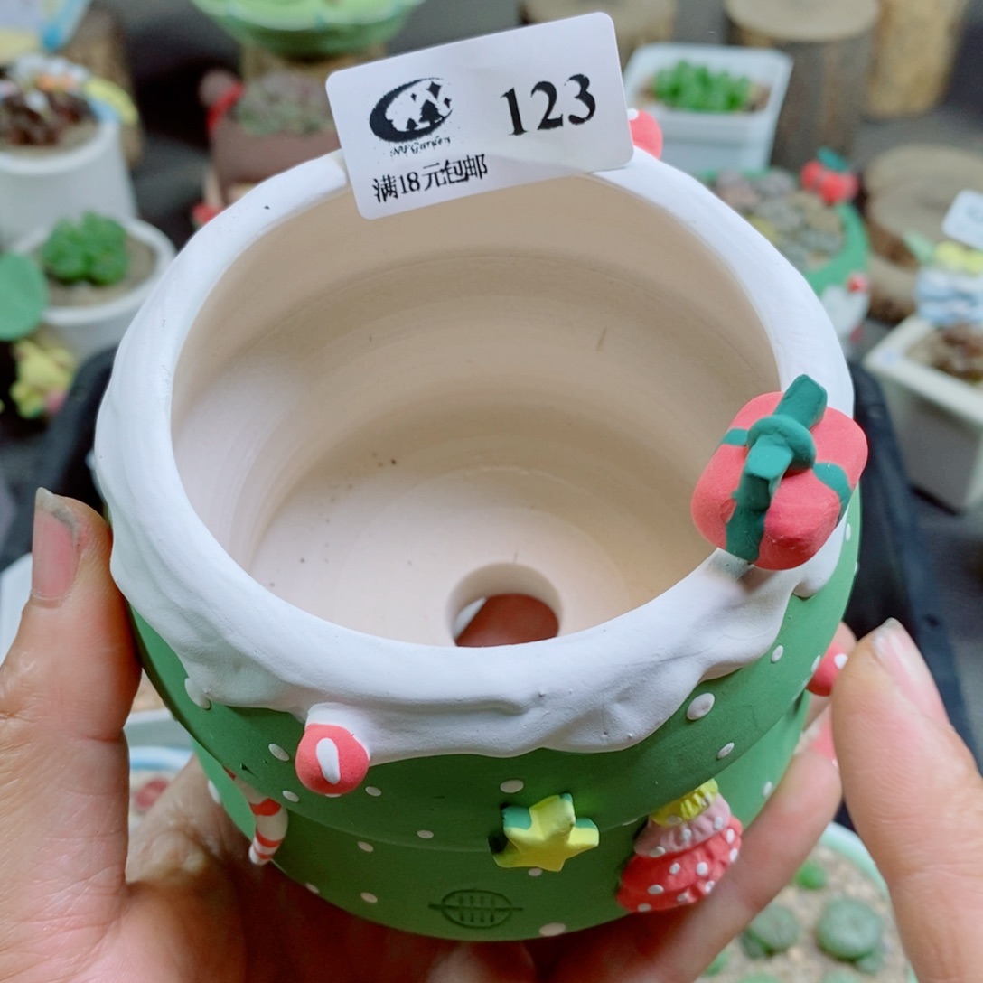 凌***步生石花花花花花花花花123