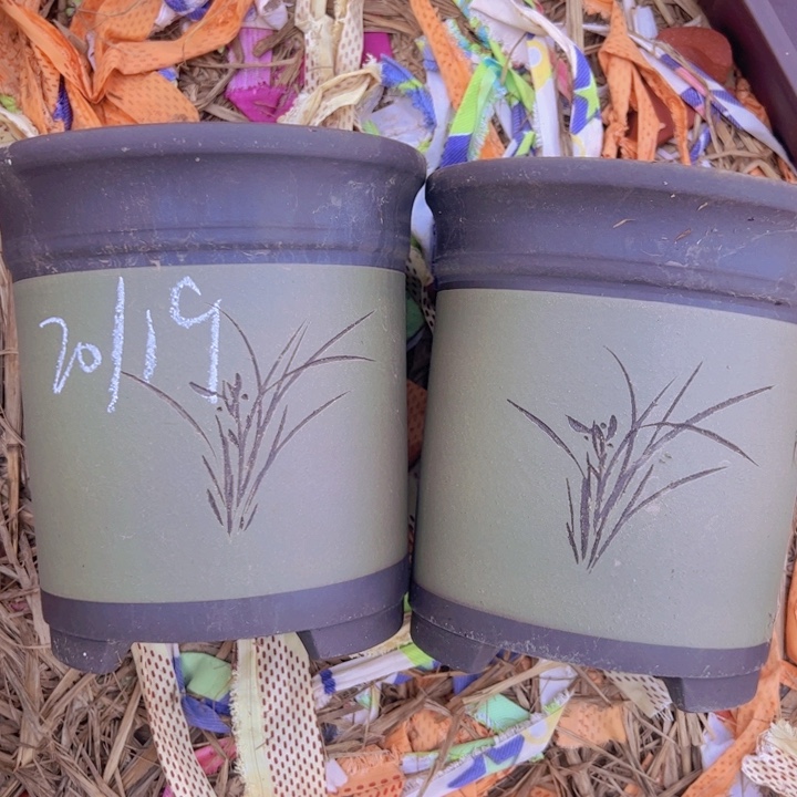 紫砂吸收紫砂我紫砂自动