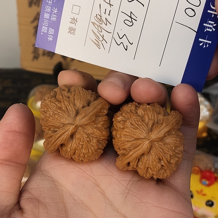 001老树三角白狮子尺寸39.6