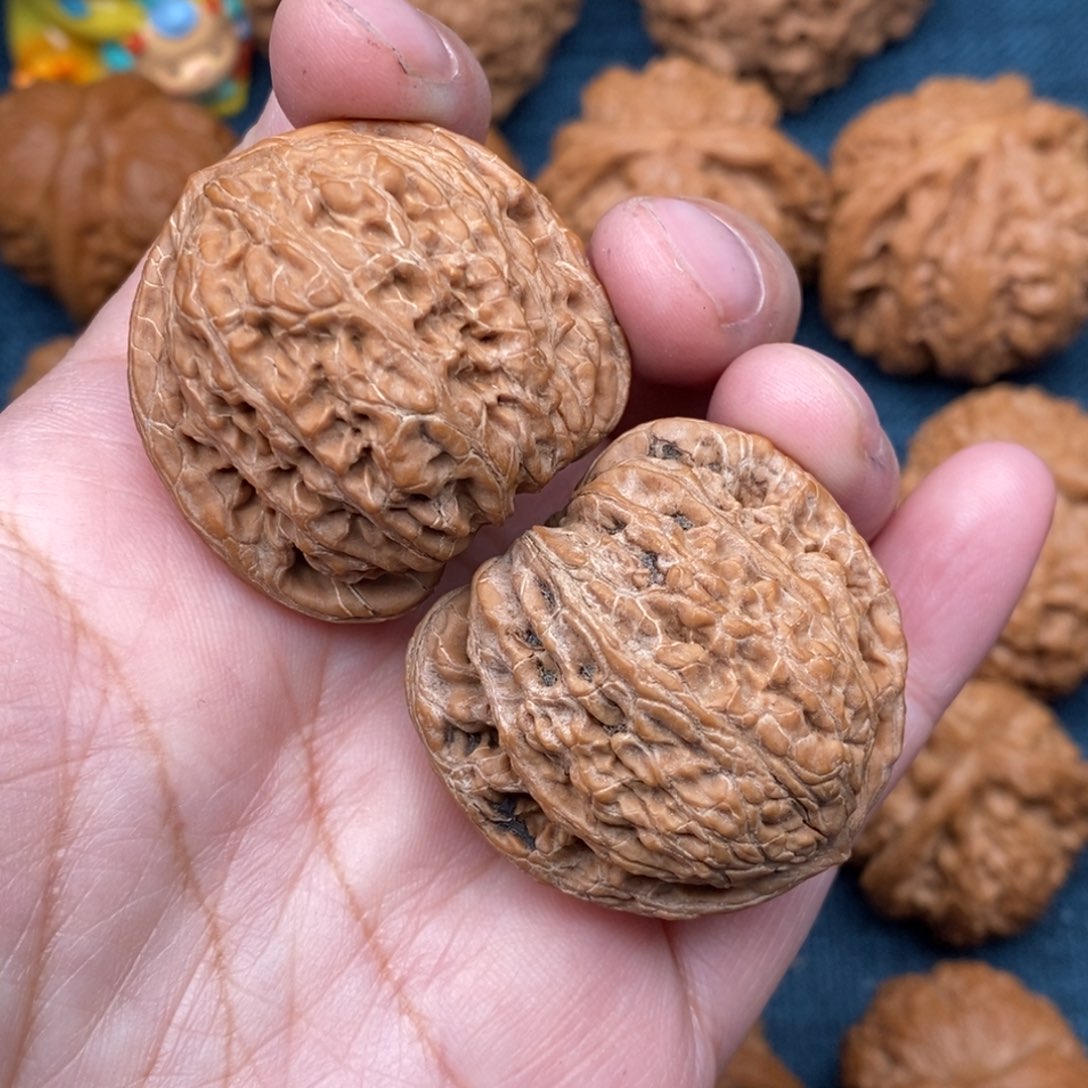 文玩核桃把件茶36红宝石狮子头