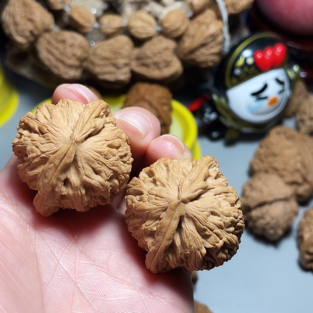 核桃手串/手链精品白狮子39