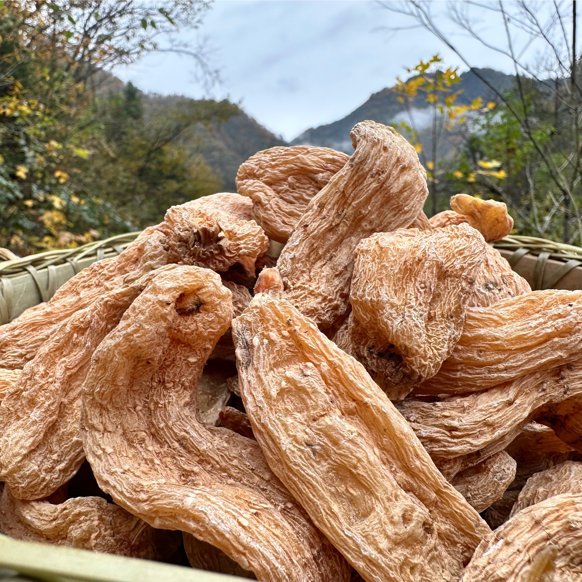 【天麻】大巴山高山高海拔天麻炖汤干天麻