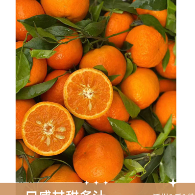 沃柑1斤1份/广西广东柑橘四川省眉山市