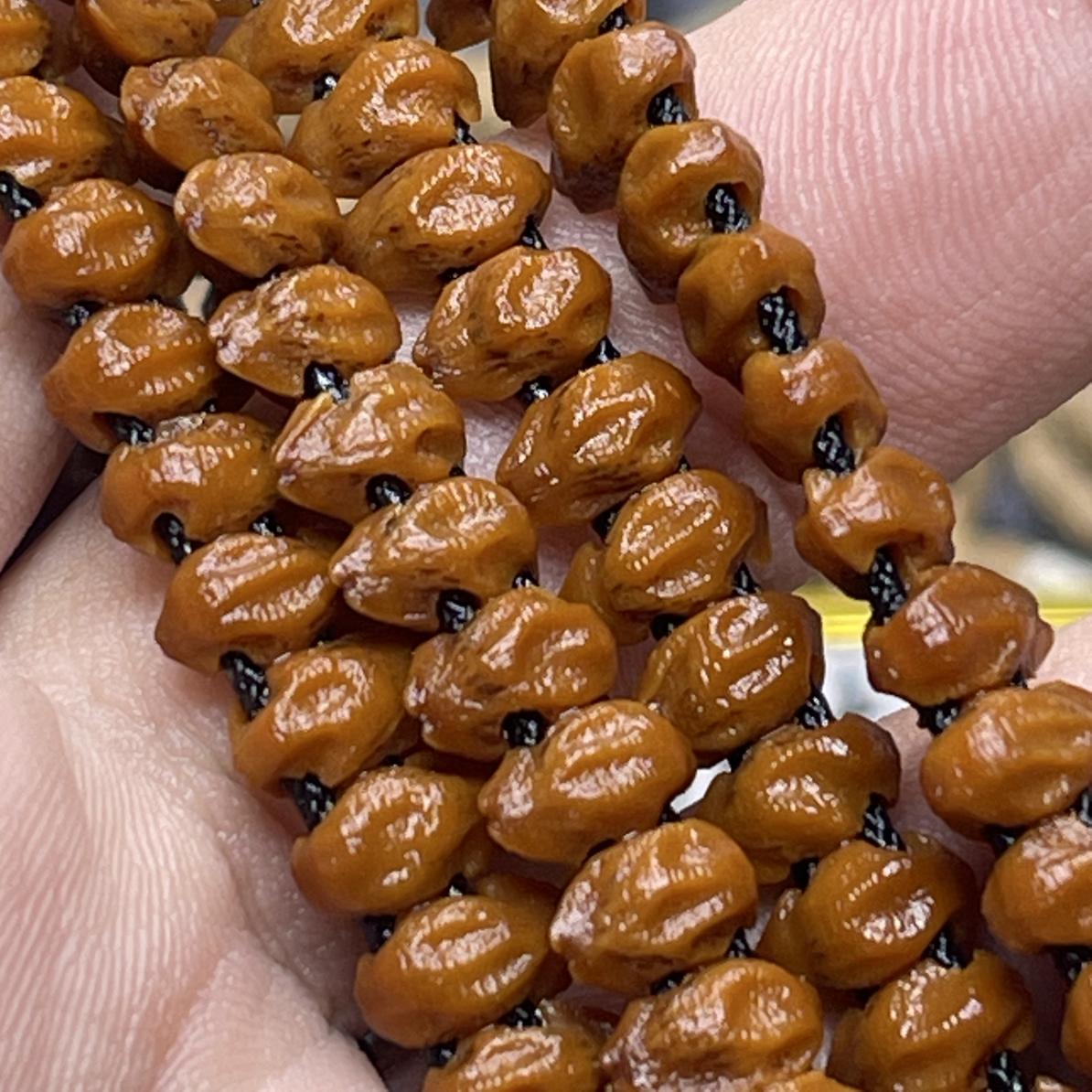 侧切双排【尸陀林】百香籽 | 瓜子形双孔道侧直切 | 无歪孔直线