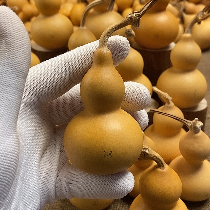 文玩葫芦 完美主义者 慎拍28