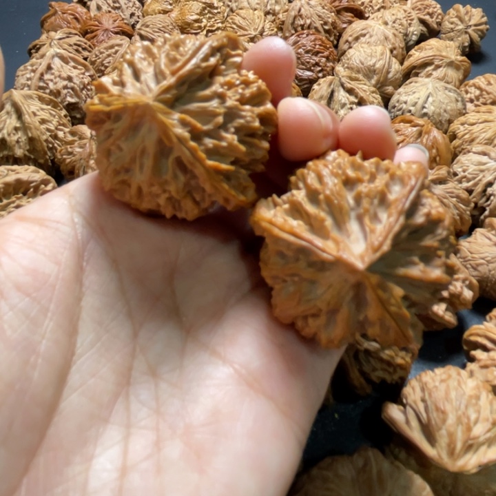 苹果园三棱40尺寸核桃哈哈哈哈哈哈哈
